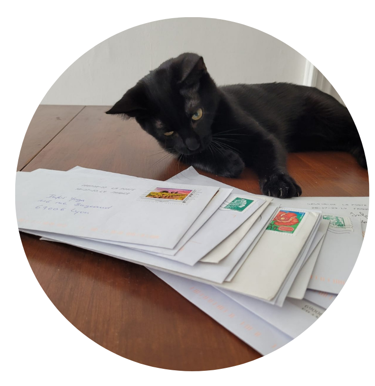 léo lechat infos yoga